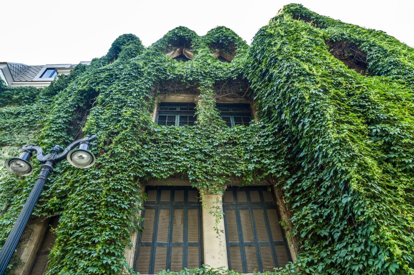 Barrio Arte @FreddyIbarra (4)