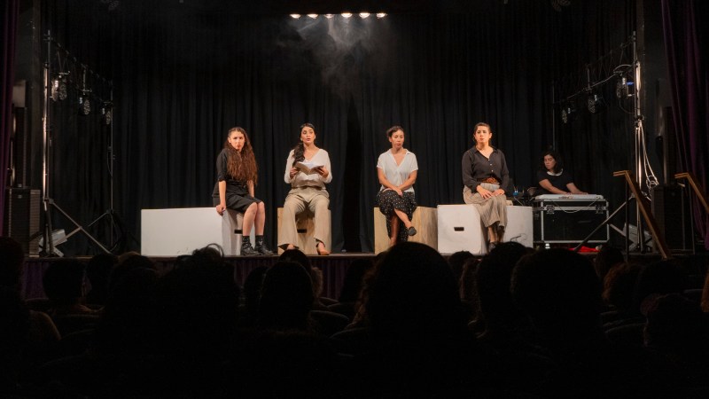 Stella Díaz Varín fue mucho más que una poeta excepcional; fue una figura legendaria cuya vida y obra siguen inspirando a generaciones de amantes de la poesía y la literatura en todo el mundo.